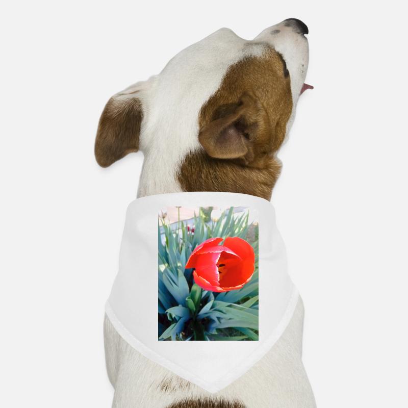 My Design Dog Bandana
