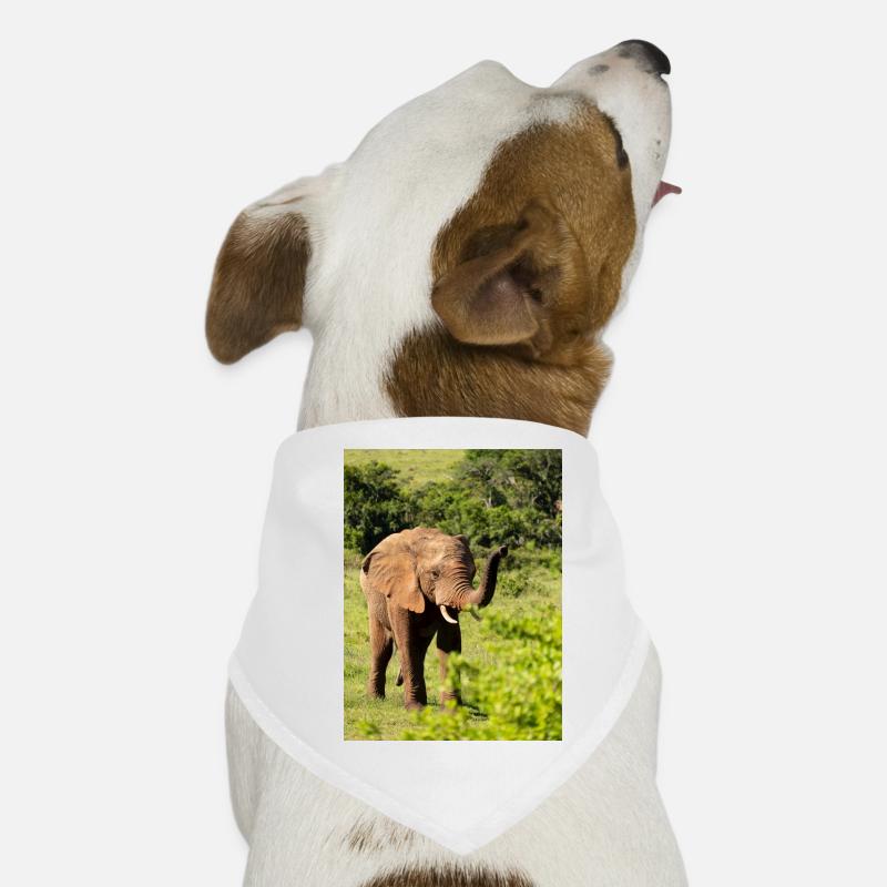 Elephant Hunde-Bandana