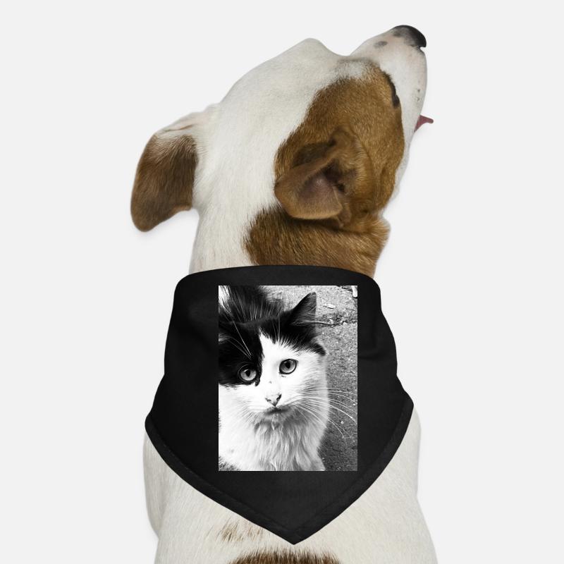 Katzen Hunde-Bandana