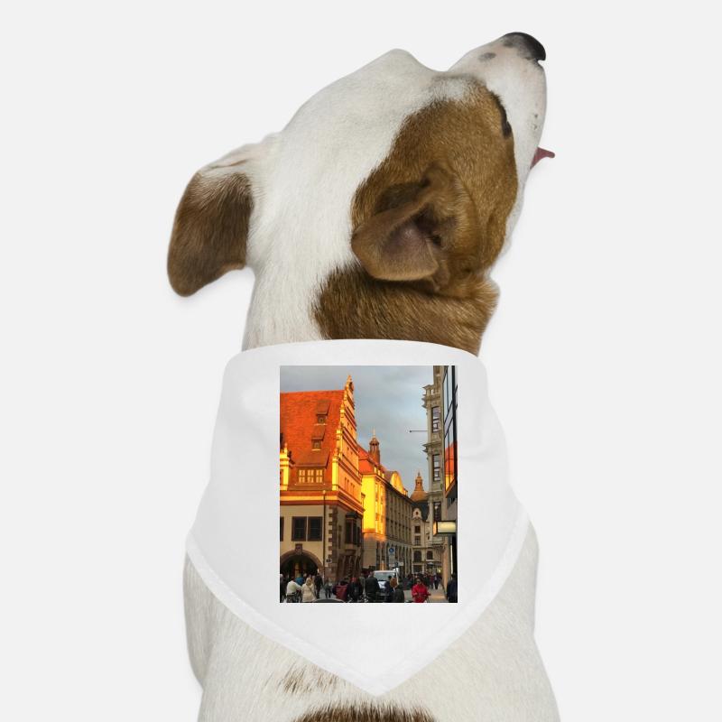Leipzig Hunde-Bandana