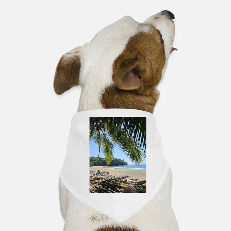 E30B78C9 5F3C 40FE A815 E6F4248A8AC0 Dog Bandana