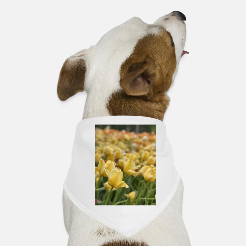 Tulip Sea yellow Dog Bandana