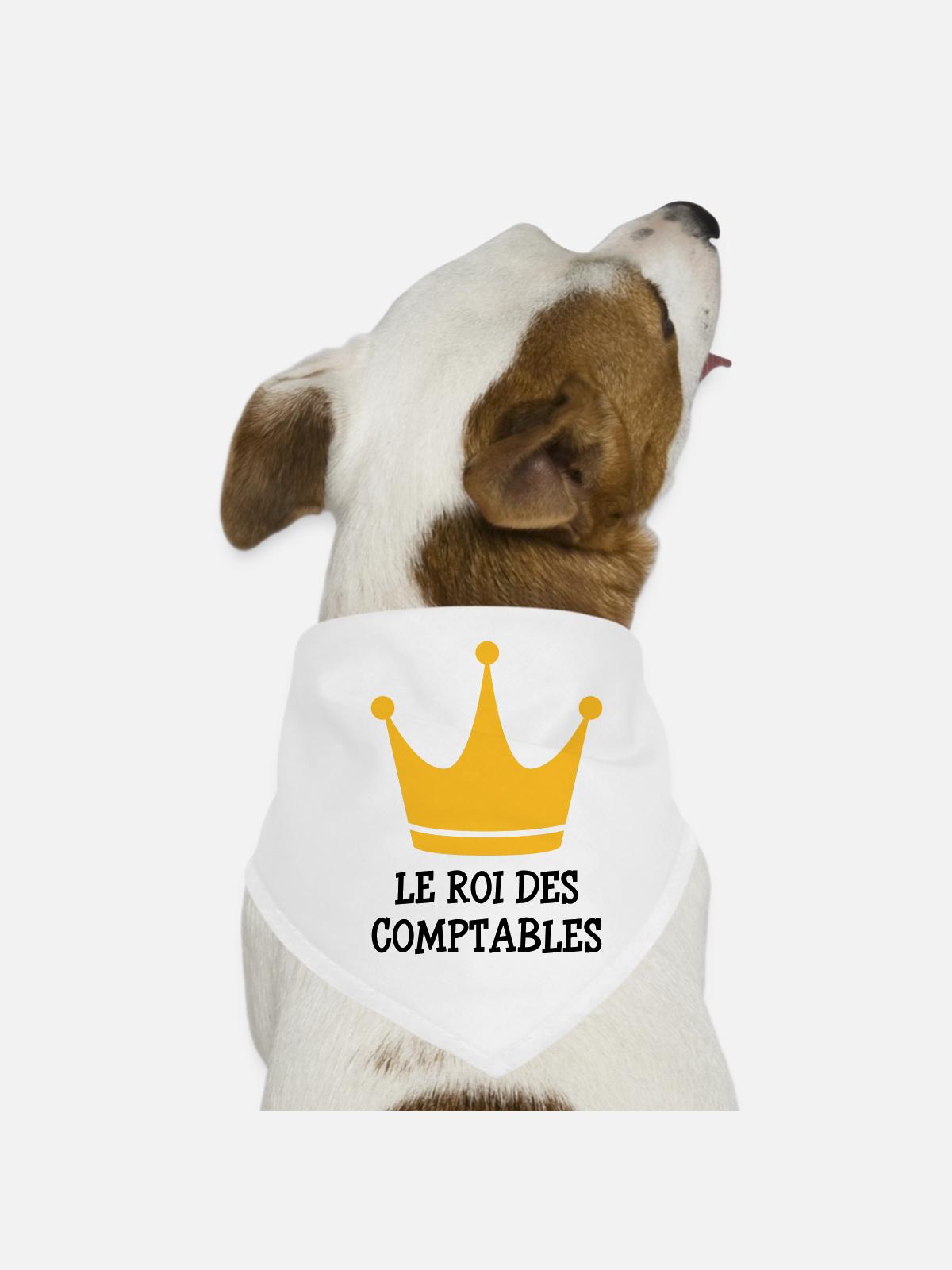 Accountant / Accounting / Comptable / Comptabilité - Dog Bandana - white - Front