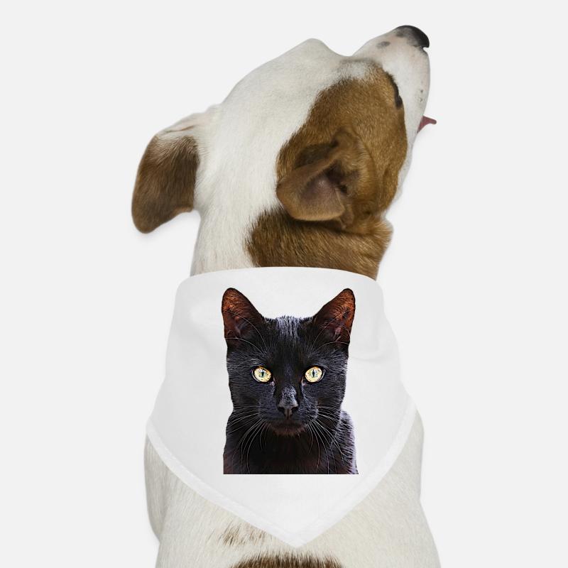 Katze schwarze Katze Katzen cat Cats Hunde-Bandana