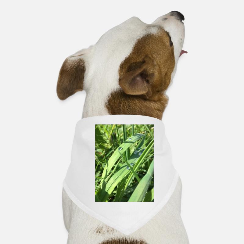 Raindrop - Hunde-Bandana - Weiß