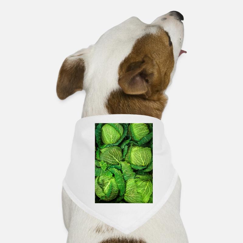 Wirsing Kohl - Hunde-Bandana - Weiß