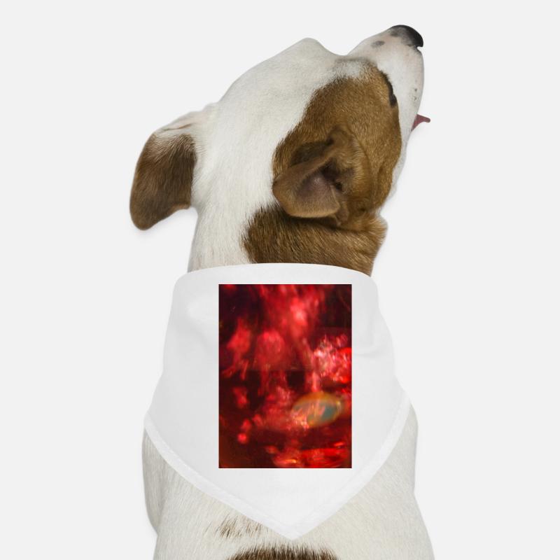 Feu rouge, néon bruyant Bandana pour chien
