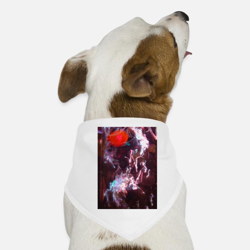 Neon Fluid Reflection Dog Bandana