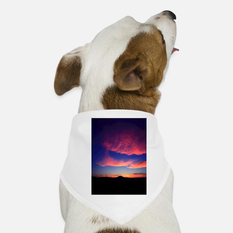 Abendrot Hunde-Bandana