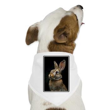 Hasen Hase - Hunde-Bandana - Weiß - Vorne