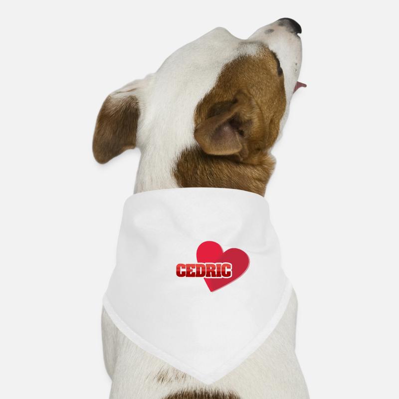 Hearts Cedric Dog Bandana