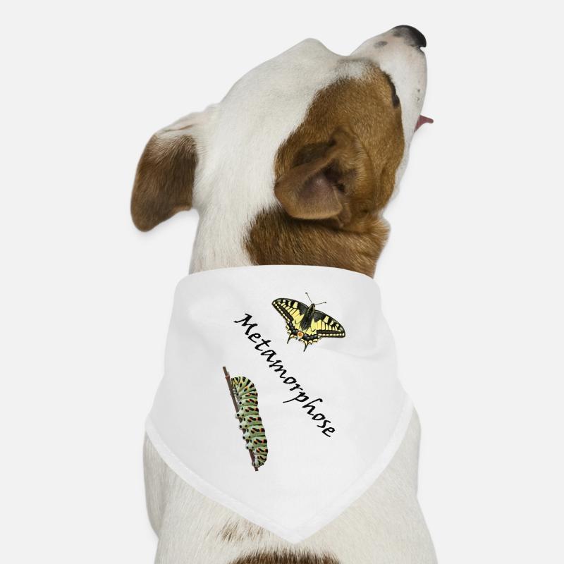 Machaon à la chenille, métamorphose Bandana pour chien