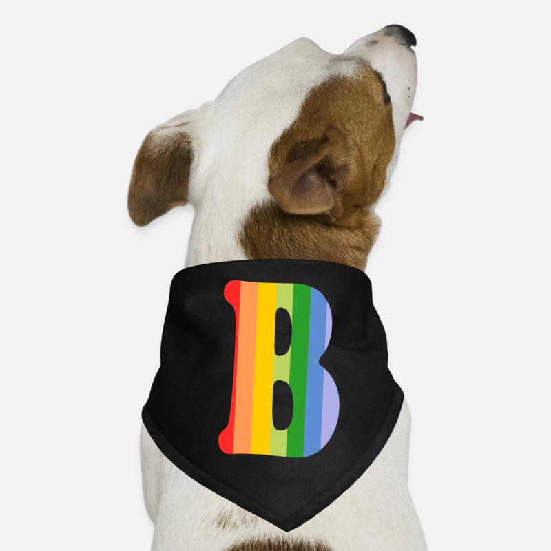 Letter B Rainbow Dog Bandana