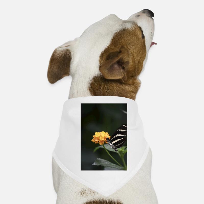 Papillon Bandana pour chien