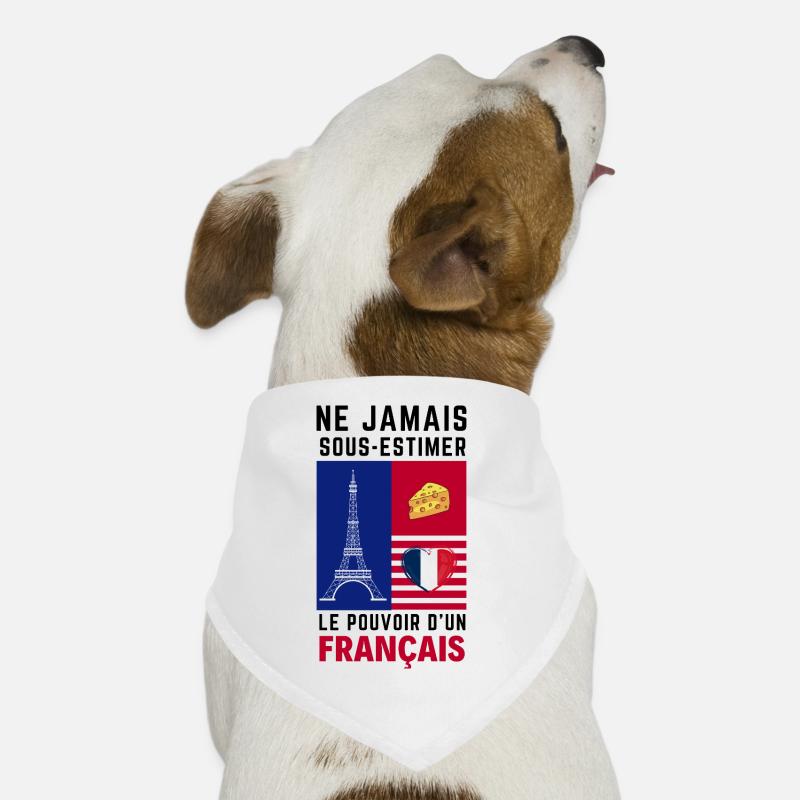 Éiffel et Coeur Français Bandana pour chien