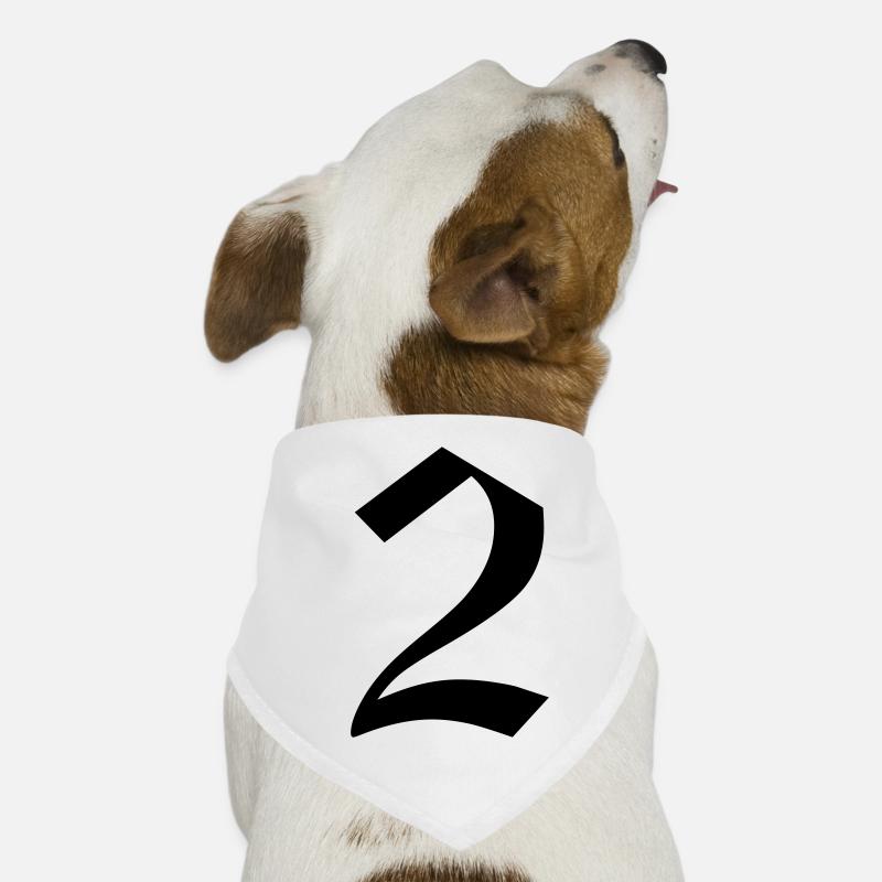 2 Bandana pour chien