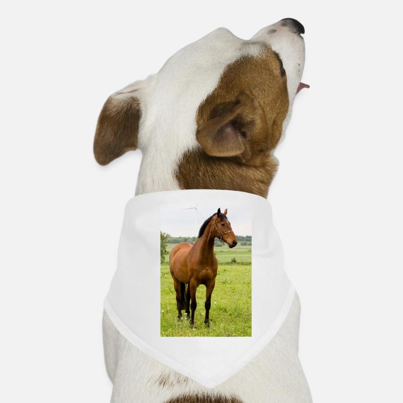 Cheval. Cheval. - Bandana pour chien - blanc