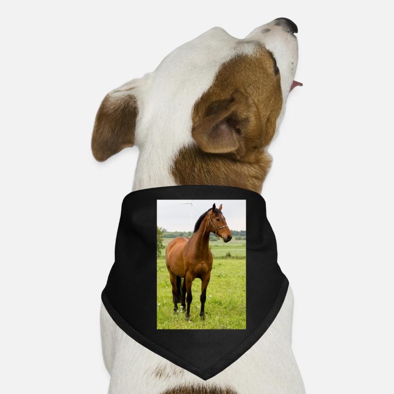 Cheval. Cheval. Bandana pour chien