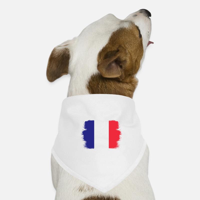 France Drapeau utilisé Look Drapeau français Bandana pour chien