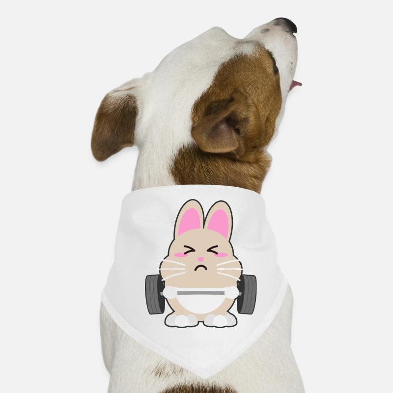 aptitude Bandana pour chien