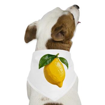 Zitrusfrüchte aus Amalfi - Hunde-Bandana - Weiß - Vorne