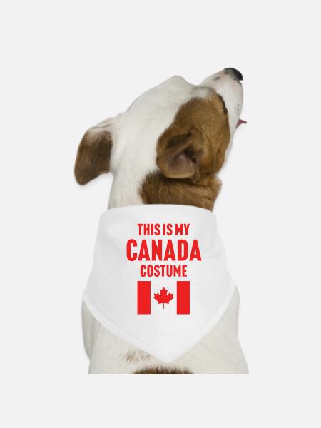 This my Canada costume - Dog Bandana - white - Front