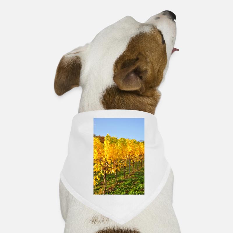 Vignes de Riesling de Moselle à l'automne 2 Bandana pour chien