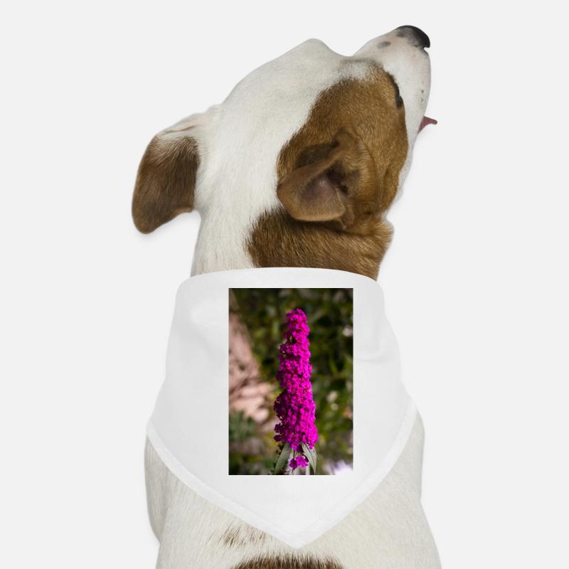 Steadfast lilac Dog Bandana