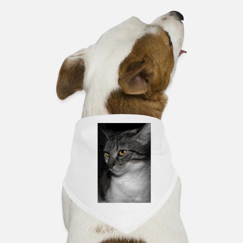 le chat au doux regard Bandana pour chien