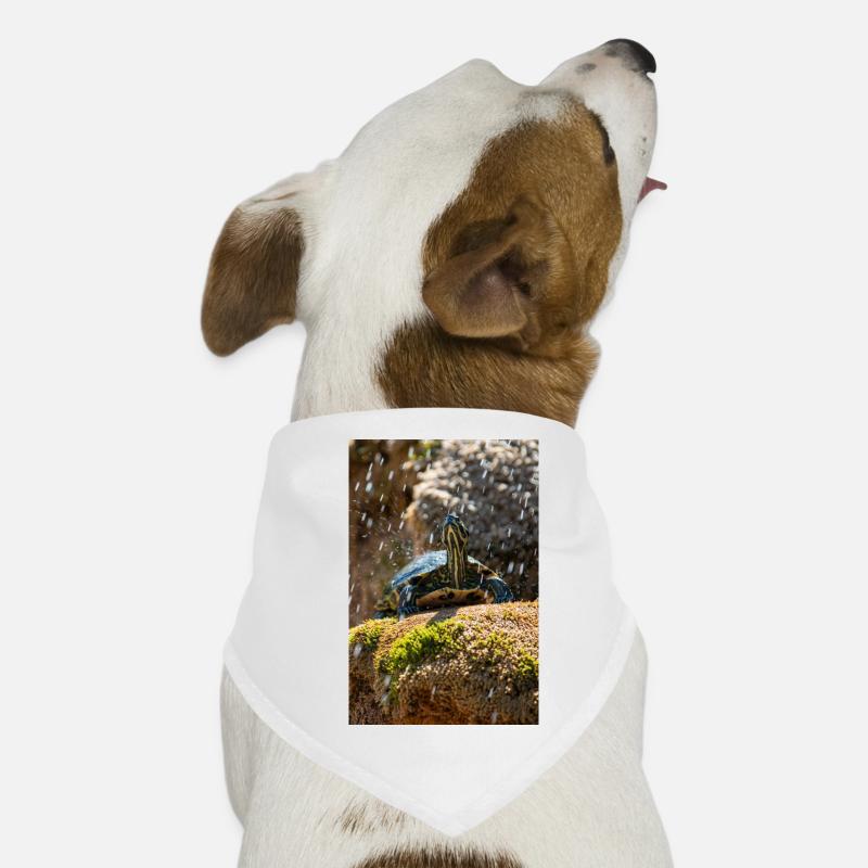 Hunde-Bandana