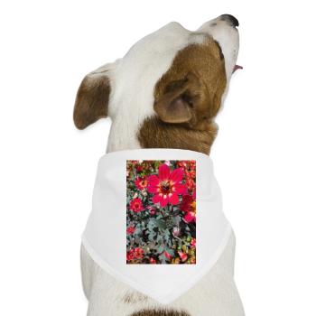 Grossfiedrige Dahlie / Bienenpflanze - Hunde-Bandana - Weiß - Vorne