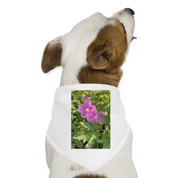 HERBST-ANEMONEN - Hunde-Bandana - Weiß - Vorne