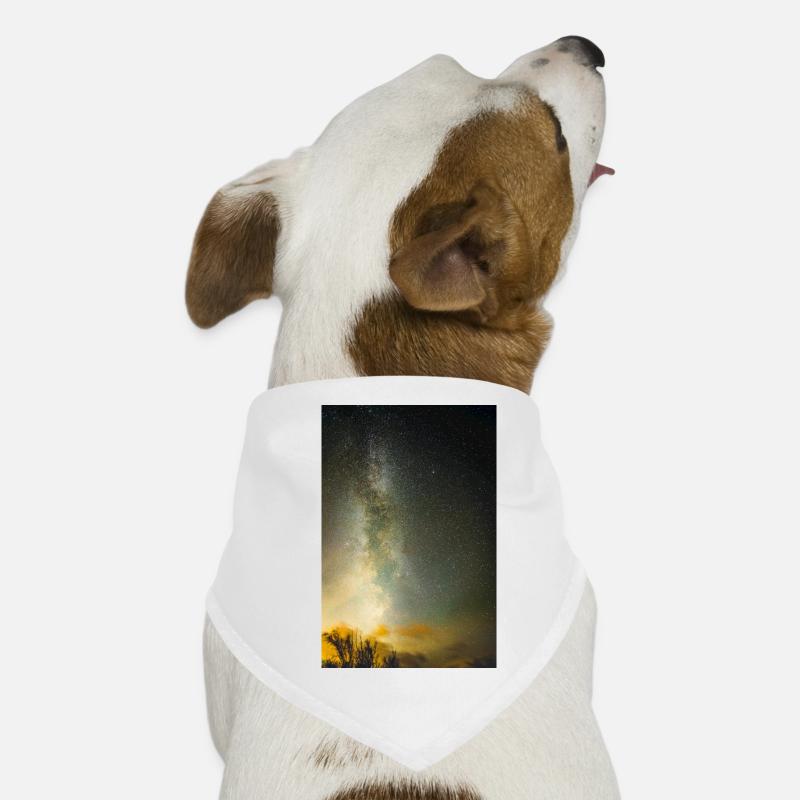 Space Dog Bandana