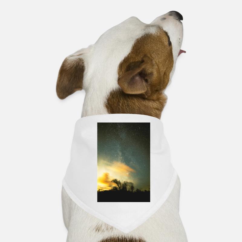 espace Bandana pour chien