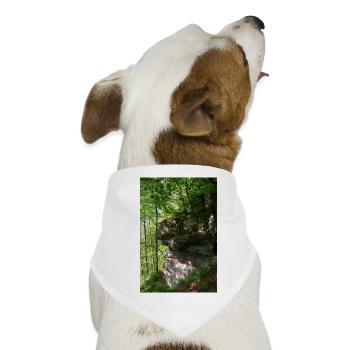Waldfelsen im Morgenlicht / Nordschwarzwald - Hunde-Bandana - Weiß - Vorne