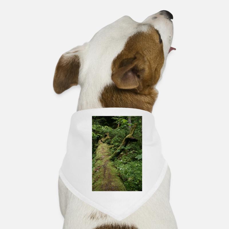 Mossy tree trunk / Northern Black Forest Monbachtal Dog Bandana
