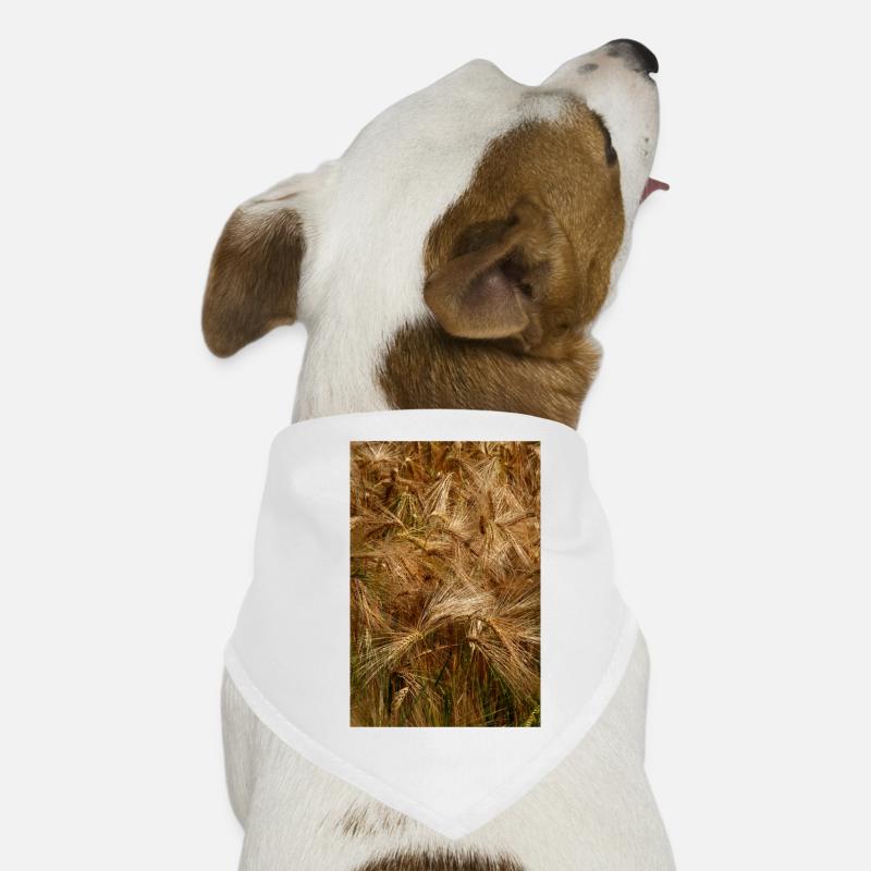 Golden wheat field nature pattern Dog Bandana