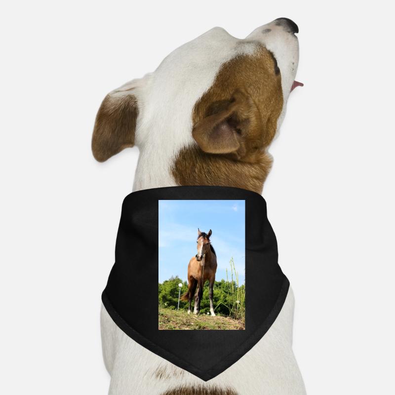 cheval Bandana pour chien