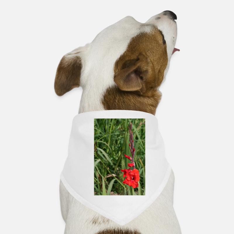 Gladiolus – starch in bloom Dog Bandana