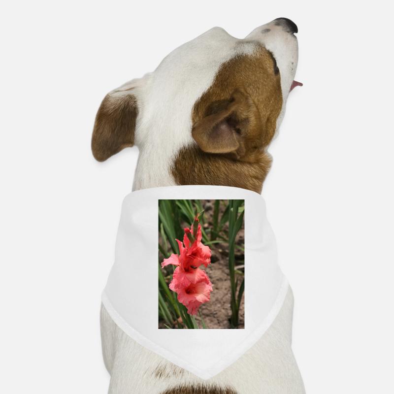 Gladiolus – starch in bloom Dog Bandana