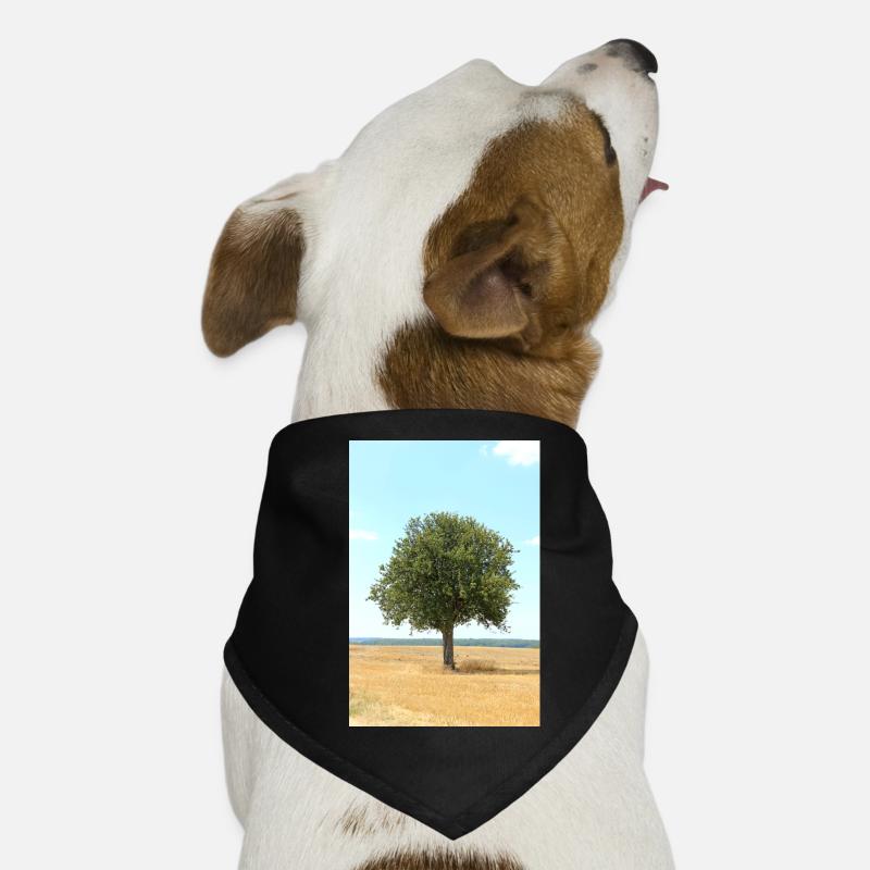 Tree, Environment, Nature Dog Bandana