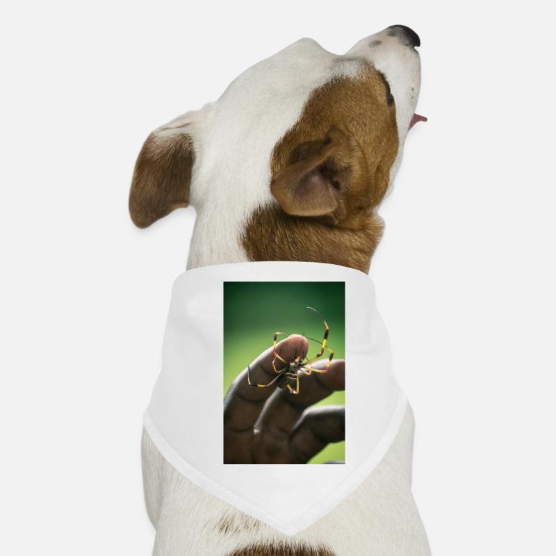 Hunde-Bandana