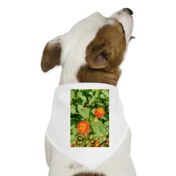 Blühender Garten – Farbenfrohe Stimmung - Hunde-Bandana - Weiß - Vorne