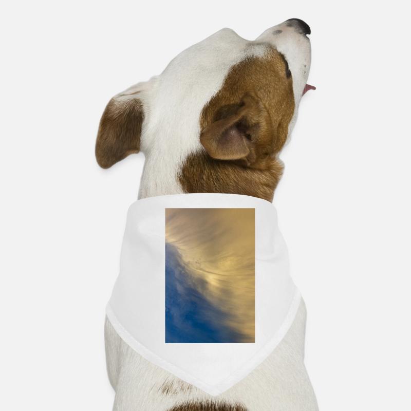 the sky Dog Bandana