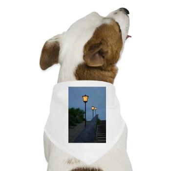 Laternen - Hunde-Bandana - Weiß - Vorne