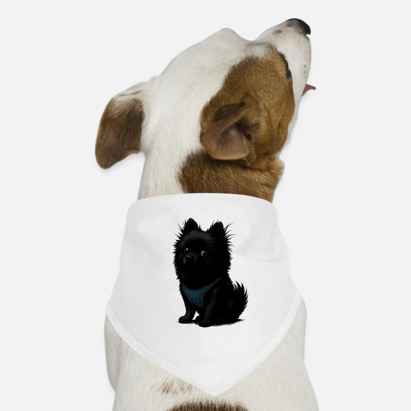 Schwarzer Spitz Hund mit blauer Weste Hunde-Bandana