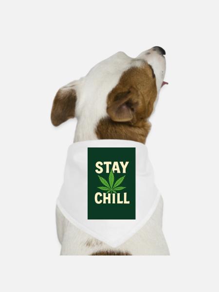 Stay Chill Feuille de Cannabis - Bandana pour chien - blanc - Devant