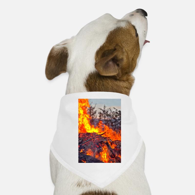 Dog Bandana
