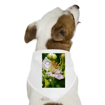 Brombeerblüte Botanische Eleganz - Hunde-Bandana - Weiß - Vorne