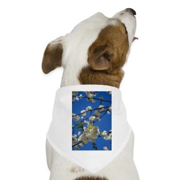 Frühlingsblüte am blauen Himmel - Hunde-Bandana - Weiß - Vorne